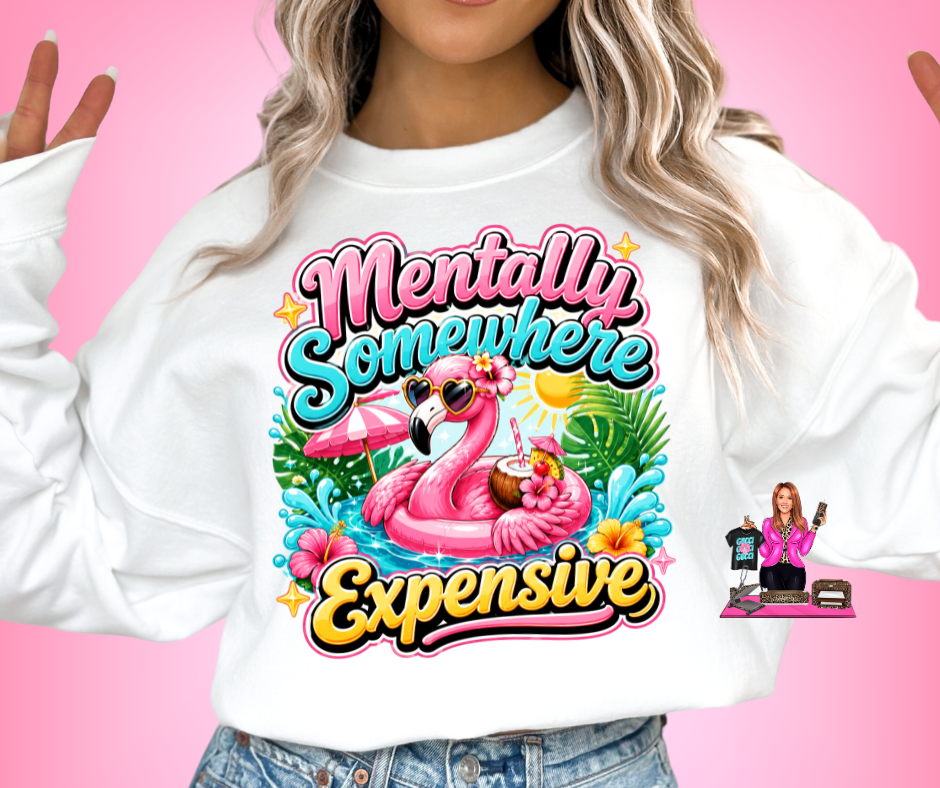 MENTALLY SOMEWHERE EXPENSIVE DTF TRANSFER